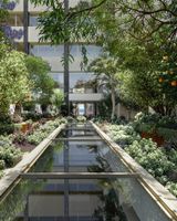 Arocaria Apartments