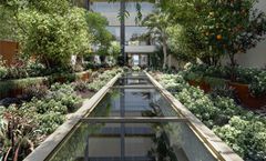 Arocaria Apartments