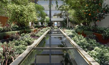 Arocaria Apartments