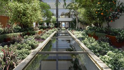 Arocaria Apartments