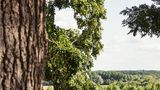 Chateau de Noirieux Restaurant