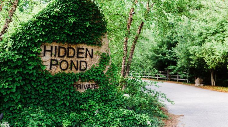Hidden Pond Other