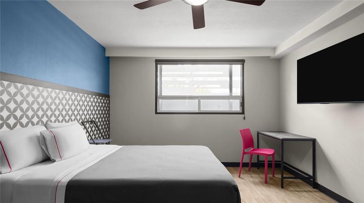 MX forum buenavista Room