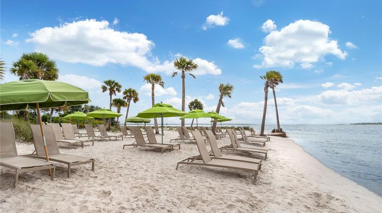 Hilton Vacation Club Bayside Resort Beach