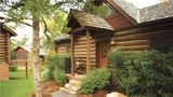 Hilton Grnd Vac Clb Wilderness Big Cedar Room