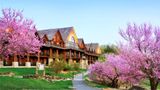 Hilton Grnd Vac Clb Wilderness Big Cedar Exterior