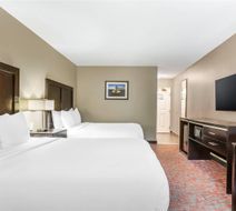 Comfort Inn & Suites North Charleston Room