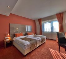 Hotel Braun Room