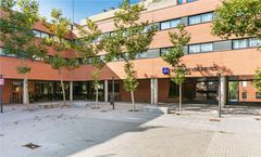 Sercotel Los Reyes