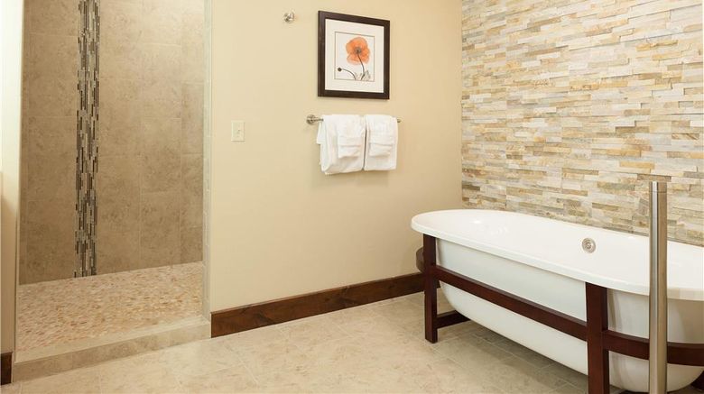 <b>Hilton Grnd Vacations Clb Paradise Point Room</b>. Images powered by <a href="https://iceportal.shijigroup.com/" title="IcePortal" target="_blank">IcePortal</a>.