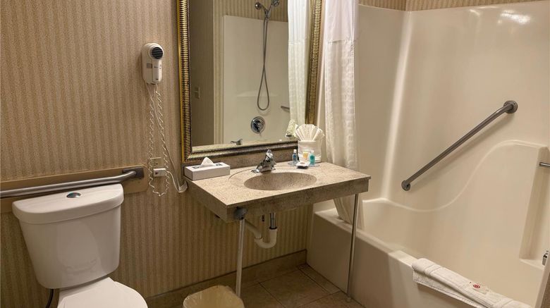 <b>Wingate by Wyndham Livonia Room</b>. Images powered by <a href="https://iceportal.shijigroup.com/" title="IcePortal" target="_blank">IcePortal</a>.