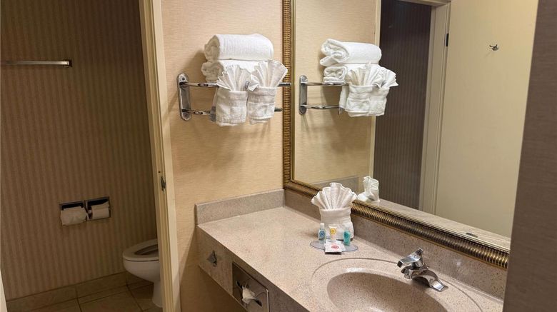 <b>Wingate by Wyndham Livonia Room</b>. Images powered by <a href="https://iceportal.shijigroup.com/" title="IcePortal" target="_blank">IcePortal</a>.