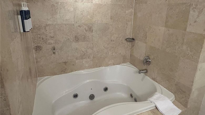 <b>Best Western Plainview-Long Island Hotel Room</b>. Images powered by <a href="https://iceportal.shijigroup.com/" title="IcePortal" target="_blank">IcePortal</a>.