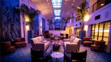 Hotel Theodore Lobby