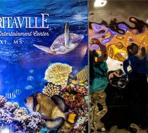 Margaritaville Resort Biloxi Lobby
