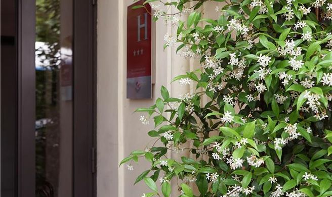 Hotel Madrigal Exterior