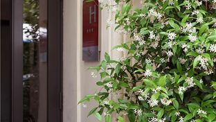Hotel Madrigal