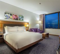Accom Hotel Sivas Room