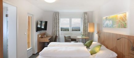 Gasthof Altes Casino Room