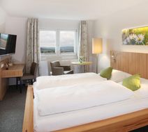 Gasthof Altes Casino Room