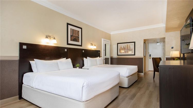 Fantasyland Hotel Room