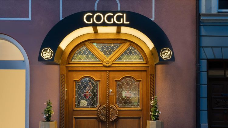 ANA Goggl Exterior