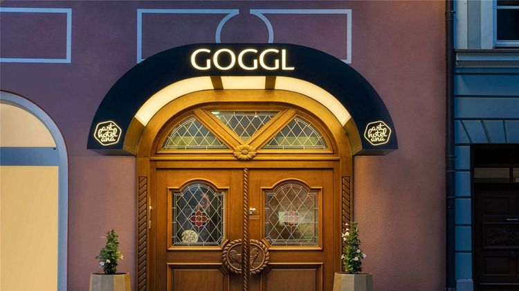 ANA Goggl Exterior