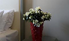 Hotel Rosso 23