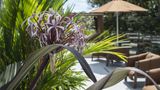 <b>Dovle Branded Residences Pool</b>. Images powered by <a href="https://iceportal.shijigroup.com/" title="IcePortal" target="_blank">IcePortal</a>.
