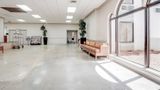 Cottonwood Suites Savannah Hotel Lobby