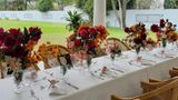 <b>LE PALAIS D'AKWA Restaurant</b>. Images powered by <a href="https://iceportal.shijigroup.com/" title="IcePortal" target="_blank">IcePortal</a>.