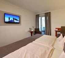 Drei Birken Room