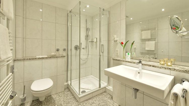Drei Birken Room