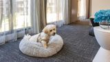 Corporate Living  Abbotsford Room