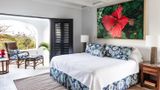 Guana Island Suite