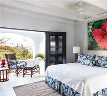 Guana Island Suite