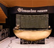 Lemon Tree Premier, Malad, Mumbai Lobby