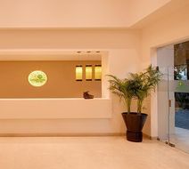 Lemon Tree Premier, Delhi Aerocity Lobby