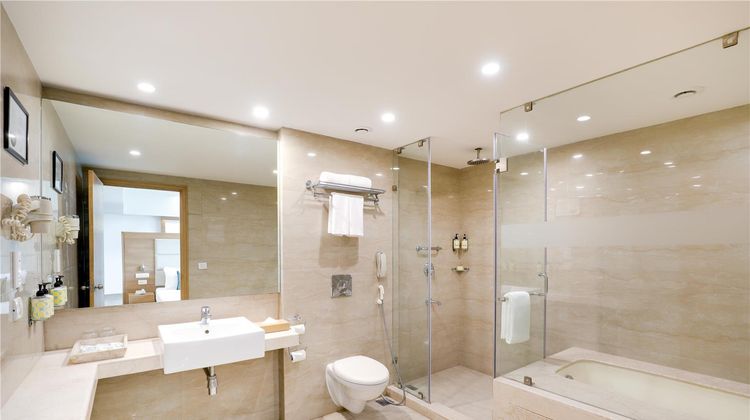 Lemon Tree Hotel Sector 60 Suite