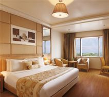 Lemon Tree Premier Jaipur Room