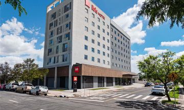 Ibis Pelotas