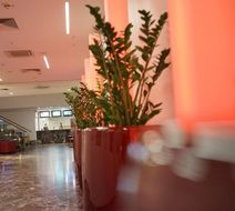 ARCOTEL Rubin Lobby