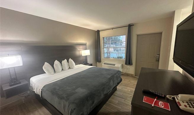 Econo Lodge St Petersburg Central Room