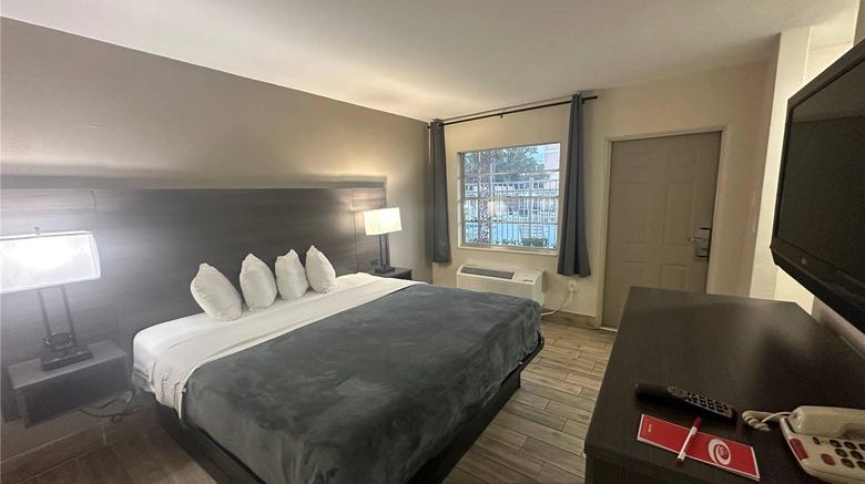 <b>Econo Lodge St Petersburg Central Room</b>. Images powered by <a href="https://iceportal.shijigroup.com/" title="IcePortal" target="_blank">IcePortal</a>.