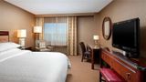 Wyndham Denver Tech Center Room