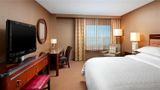 Wyndham Denver Tech Center Room