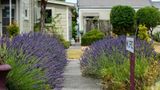 U Studios Masterton, SureStay Coll Exterior