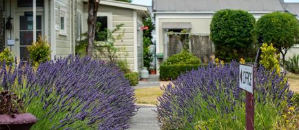 U Studios Masterton, SureStay Coll Exterior