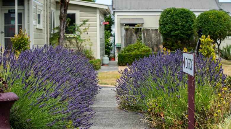 <b>U Studios Masterton, SureStay Coll Exterior</b>. Images powered by <a href="https://iceportal.shijigroup.com/" title="IcePortal" target="_blank">IcePortal</a>.