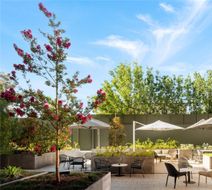 Majestic M Suites Exterior